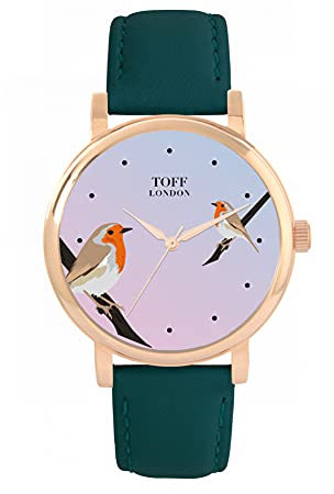 Toff London Robins Vogelbeobachtung