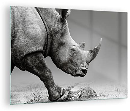 Moderne Impression sur Verre Rhinocéros Monochrome Des Animaux Image Tableau en Verre Decoration Murale 70x50cm Deco Cadre Salon Chambre Horizontal Petit Tableaux Decoratifs Muraux Art GAA70x50-4954