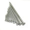 Clavos,Clavos para madera, Clavos de cemento, clavos de acero especiales, clavos pequeños for el hogar, cuadros colgantes for carpintería, clavos fijos largos y finos, 20 40 60 100-2 * 20 mm/700 pieza