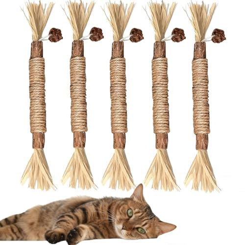 LauCentral Lot de 5 Bâtonnets à Mâcher pour Chats en Bois Naturel – Jouets avec Herbe à Chat, Jeu Interactif Intérieur & Nettoyage Dentaire