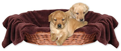 Bestlivings Tierdecke Hundedecke Kuscheldecke Haustierdecke, kuschelig weich in vielen erhältlich (90x140 cm/braun - Schokobraun)