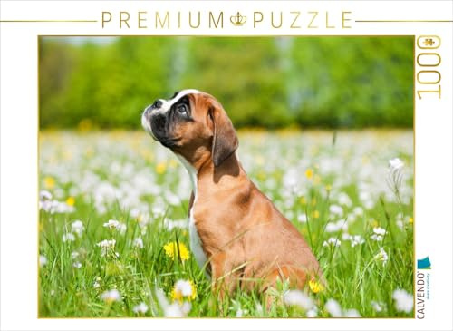 CALVENDO Puzzle Niedlicher Boxerwelpe | 1000 Teile Lege-Größe 64 x 48 cm Foto-Puzzle für glückliche Stunden