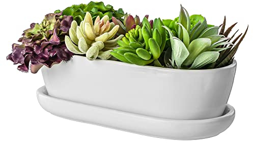 botle Keramik Blumentopf Blumenschale Kakteenschale Untersetzer Wasserloch Kakteen Bonsai Sukkulenten (oval, Weiss)