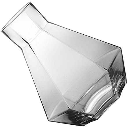 DOITOOL 1set Brocche Per Tè Freddo Succo e Vini Design Elegante e Trasparente Per La Casa e Occasioni Speciali