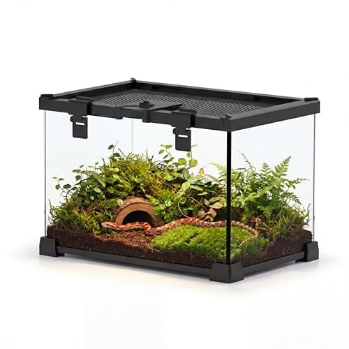 NEPTONION 20 x 20 x 30 cm Mini Glas-Terrarium, vertikales Vollsicht-Vivarium von Oben zu öffnen, ausbruchsicheres Schloss & Fütterungsklappe, für Gottesanbeterinnen & Springspinnen