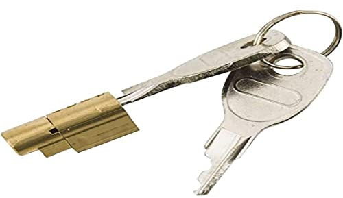 CROSS 09302 - Serrure Anti-Vol de Securité - Pour tête d'Attelage - Fourni avec un Jeu de Clés