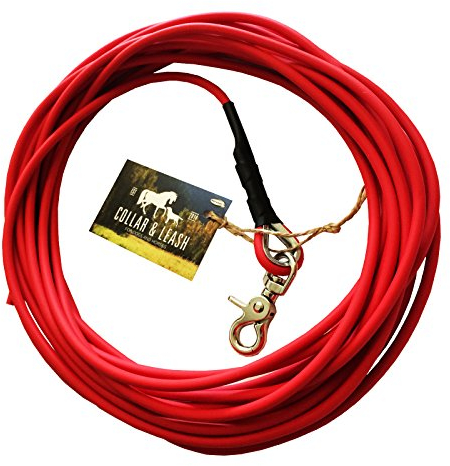 Schleppleine Trainingsleine für Hunde, robust, wetterfest, aus runder BIOTHANE® - Coated 6 mm - [10 m] - rot - RD522