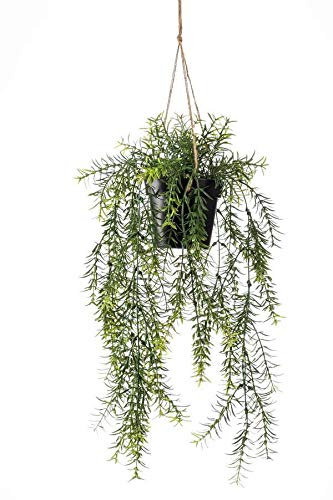 artplants.de Künstlicher Hänger Asparagus sprengeri Blumenampel Andres im Dekotopf, 50cm - Künstlicher Spargel