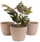 Home Garden Ornaments Large Plant Pots Indoor – Indoor Plant Pot for Home and Garden, Decorative Striped Set of 3 Flower Pots (Diameter 30cm, Taupe)