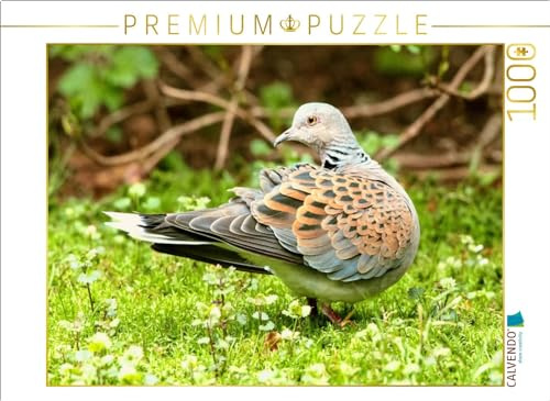 CALVENDO Puzzle Turteltaube - wunderschön gezeichnetes Gefieder | 1000 Teile Lege-Größe 64 x 48 cm Foto-Puzzle für glückliche Stunden