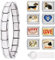 Kunoli Gold Italian Charm Bracelet Set, DIY 9mm Abnehmbar Module für Italienische Armbänder, Damen Mädchen (E)