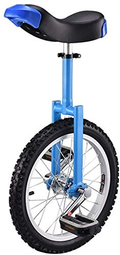 RZiioo Einrad, verstellbares Fahrrad 1618 2024 Wheel Trainer 2.125Skidproof Tire Cycle Balance Verwendung für Anfänger Kinder Erwachsene Übung Spaß Fitness,Blau,16inch