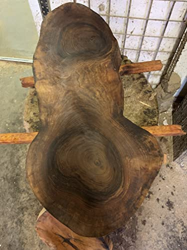 Baumscheibe, Holzscheibe, Walnuss ca. 60x30x3 cm geölt