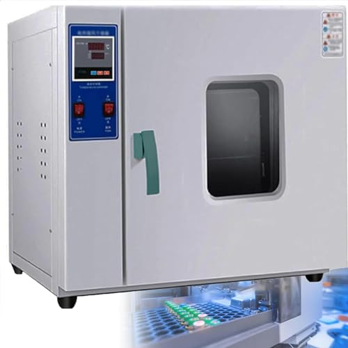 DPQYJPP Four séchage thermostatique numérique Laboratoire, Four Acier Inoxydable, Chauffage électrique, Four séchage à température constante, séchoir Industriel pour l'enseignement/Aliment,43L