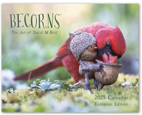 2025 Yea-Kalender mit äußerst präzisen Vögeln, Becorns The Art Of Bird-Kalender, wunderschöner Waldvolkskalender 2025, Wandwaldfolklore-Überseekalender, perfekt für Zuhause oder das Büro (1pc)