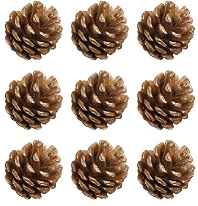 YeahiBaby 9pcs Tannenzapfen Christbaumschmuck natürliche Tannenzapfen Weihnachtsdeko Adventsdeko Weihnachtsbaum Anhänger 4cm (Gold)