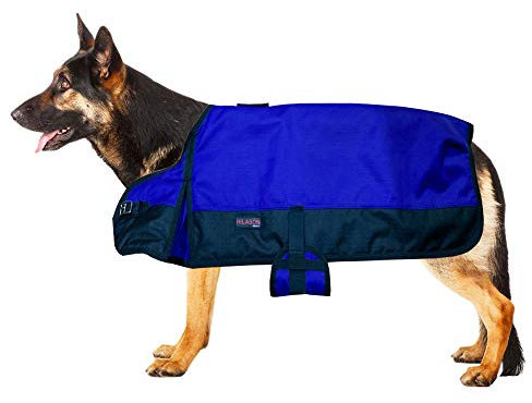 HILASON 200 GSM 1200D Winterdecke wasserdichte Hundedecke Königsblau Schwarz | Hundemäntel und Decken | wasserdichte warme Jacken | Pferdedecke Hundemantel | Haustierdecke für Schnee und kaltes Wetter