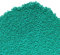 DICHONDRA REPENS CON RHIZO | Tappeto erboso denso e elegante, Richiede tagli poco frequenti, Resistente alla siccità, Tollerante all'ombreggiamento | Il Contadino - Antiche Sementi (500g)