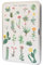 Kokonote Puzzle 100 Teile Botanical Cacti Puzzle - Größe : 25x15 cm - Puzzle mit metallischer Box Puzzle Erwachsene