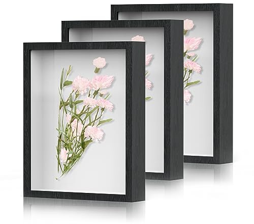 Shadow Box Frame 8x10 - 3 Pack Wood Deep Shadowbox with Glass Shadow Boxes Display Cases Suitable for Photos, Dried Flowers, Handicrafts Picture Frames for Wall (Black)