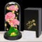 Cadeaux de Fête des Mères pour Femmes - Œillet Éternel sous Cloche avec LED, Création Florale Éternelle, Idée Unique pour Femme/Maman/Grand-mère, Inspiration Enchantée pour Anniversaire​