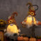 ACAREY Herbstdeko Wichtel mit LED Licht, 2 Stück Herbst Deko Wichtel mit Beleuchtet, Herbst Dekoration Kürbis Wichtel, Herbstdeko Wichtel Figuren Plüsch Für Erntedankfest Weihnachten Party Geschenk