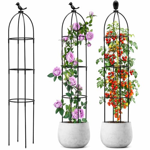 Pflanzenstütze Rankhilfe,Rankgitter Käfige Kippschutz, Himbeeren Rankhilfe Abnehmbar 120 cm Obelisk,für Indoor Outdoor Blume Stand Spalier GemüSe Ideal alle Kletterpflanzen, Rosen, Garten Terrasse