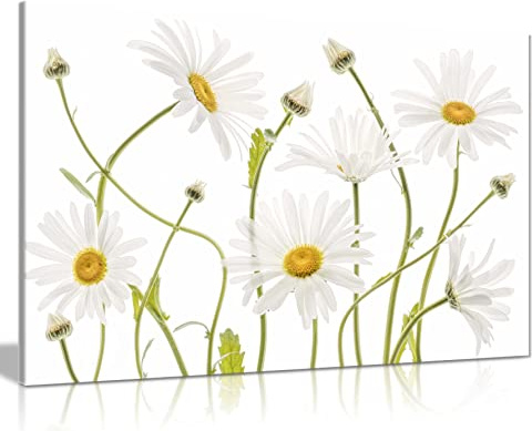 Panther Print Fine Art Prints White Ox Eye Daisies Flower Floral Garden Artistic Framed Canvas Print, Pictures for Home Walls, Bedroom, Living Room & Bathroom Decor 91x61cm (36x24in)