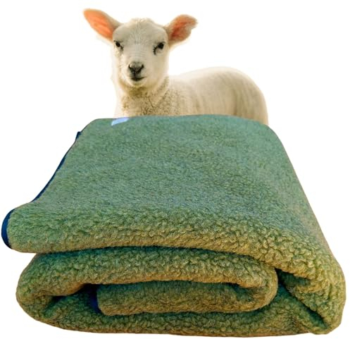 Wollblüte Grüne Kuscheldecke aus Schafwolle/warme Wolldecke/Schurwolledecke aus Deutschland (Grün)