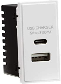 Dual USB A+C Charger (3.1A) Module 25 x 50mm - White