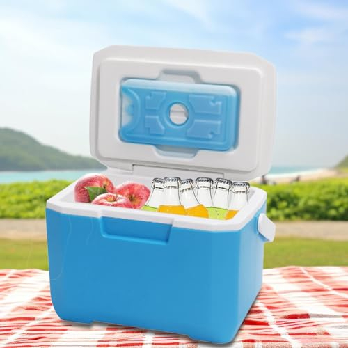 Glacière portable pour nourriture et boissons | Réfrigérateur extérieur de voiture avec poche de glace | Boîte de réfrigération de 6 L | Coque rigide légère | Pour barbecue, camping, voyage