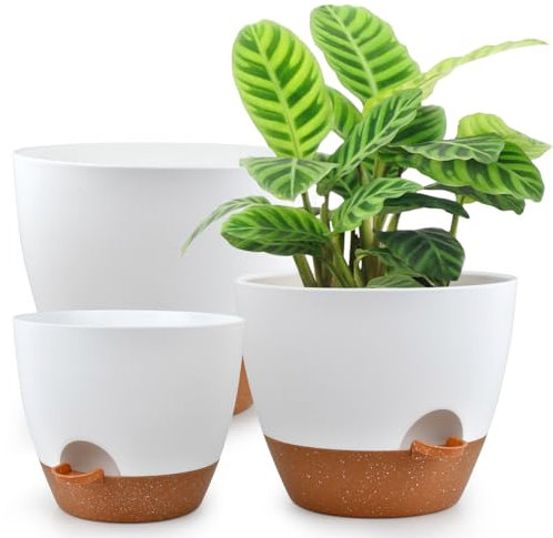Lot de 3 Pots de Fleurs Auto Arrosant,30/25/22cm Pots à Fleurs Plantes en Plastique,Pots pour Plantes avec Trous de Drainage et Soucoupe Amovible,Pot Plante pour Jardins Balcon Intérieurs Extérieurs