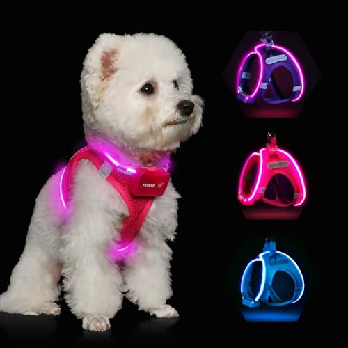 Feycig Leuchtend Hundegeschirr LED Aufladbar - Leuchtgeschirr Leuchtendes | Reflektierendes für Welpe Klein Mittlere Hund, Brustgeschirr Hundegeschirr, Atmungsaktiv Leucht Geschirr (Pink, Medium)