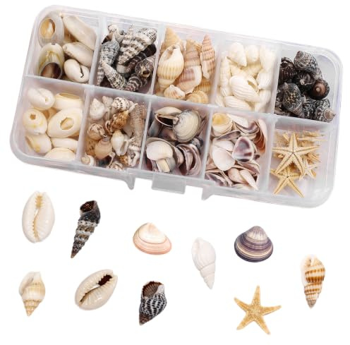 Msjuwek 210 Pcs Natural Sea Shells and Seashells for Crafting, Mixed Ocean Beach Shells with Starfish for DIY Crafts, Home Decor, Fish Tank, Candle Making & Wedding Decorations