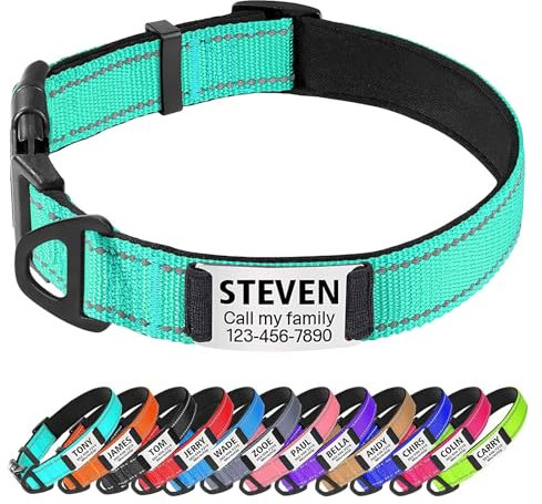 TagME Personalised Dog Collar Reflective Padded Collar for Large and Extra Large Dogs with Custom Engraved Slide On Name Plate,Teal L
