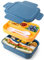 Bento Box Lunchbox für Erwachsene, 2000 ml, doppellagige Lunchbox, Behälter für Erwachsene mit 4 + 4 Fächern, Bento-Lunchbox für Kinder mit Utensilien, auslaufsicher,
