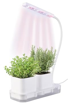 PEARL Mini-Gewächs- & Anzucht-Station, 2 Töpfe, Wachstums-LEDs & Wassertank