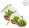 Nicola Spring Glas-Terrarium zum Aufhängen - 3 Größen - offener Terrarium-Pflanzgefäß für drinnen und draußen, Hausgarten, Sukkulenten, Kakteen, Farne, Pflanzen zum Aufhängen auf dem Tisch