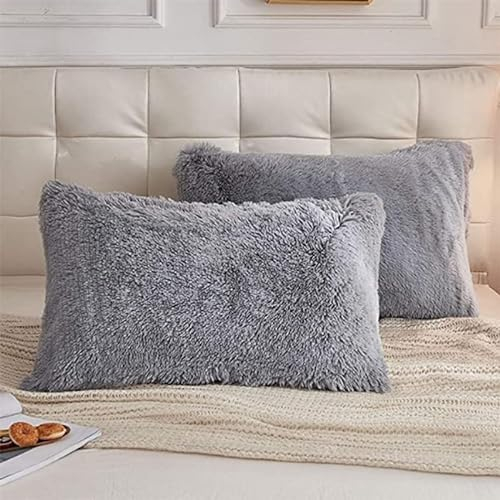 2er Set Kissenbezug 50x70cm Superweich Flauschig Kissenhülle Warm Winter Kopfkissenbezug Plüsch Langhaar Flauschig Flanell Kissenhülle (A2,50 * 70 cm)