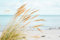 A.S. Création Fototapete Sand Dunes 3,75 m x 2,50 m - WALLLOVE Strandtapete in Beige, Blau inkl. Kleister - DD129607