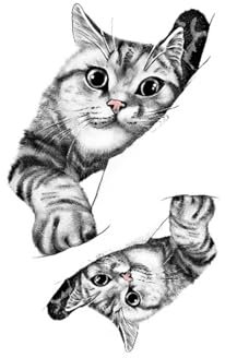 Faux tatouages temporaires imperméables for homme et femme, motif chat japonais mignon, tatouage semi-permanent, animal amusant(2pcs)