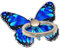 Kinizuxi Anneau de Support pour téléphone Portable réglable à 360°Motif Papillon Mignon Anneau de Support pour Téléphone avec Boucle de Bouton Les Smartphones, iPhone（1Pack Bleu）