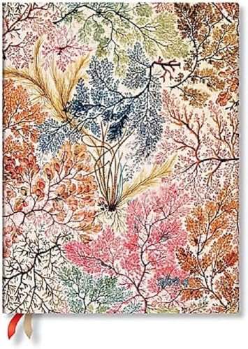 Paperblanks Flexi 12-Monatskalender 2024 Anemone, Vertikal - Ultra (230 x 180), Deutsch