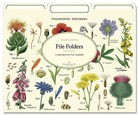 Aktenordner Wildblumen