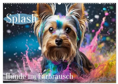 Splash - Hunde im Farbrausch (Wandkalender 2026 DIN A2 quer), CALVENDO Monatskalender: Hunde im farbigen Wasserbad (CALVENDO Tiere)