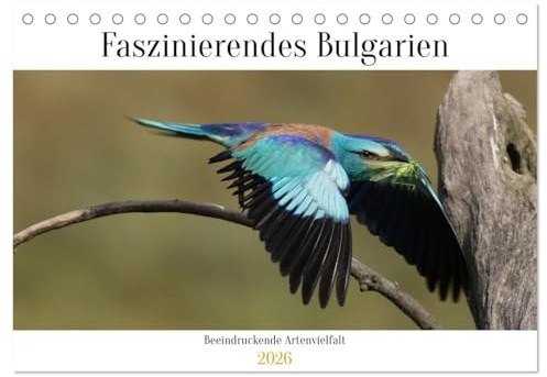 Faszinierendes Bulgarien (Tischkalender 2026 DIN A5 quer), CALVENDO Monatskalender: Die beeindruckende Tierwelt Bulgariens (CALVENDO Tiere)
