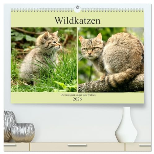 Wildkatzen - Die lautlosen Jäger des Waldes (hochwertiger Premium Wandkalender 2026 DIN A2 quer), Kunstdruck in Hochglanz: In unseren Wäldern ist die Wildkatze wieder zuhause (CALVENDO Tiere)