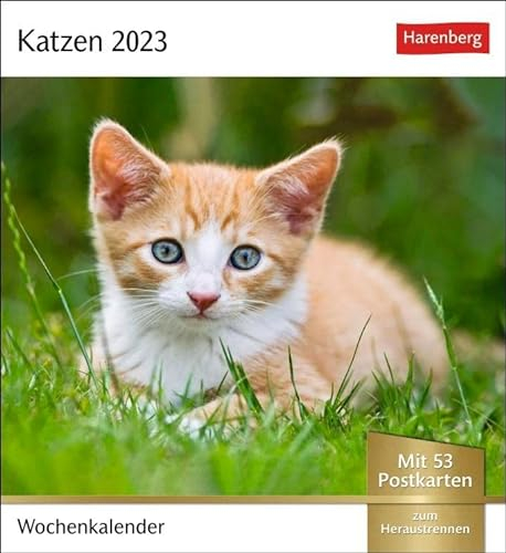 Katzen Postkartenkalender 2023. Jede Woche ein süßes Kätzchen im Postkarten-Fotokalender. Tisch-Kalender für Katzenfans, mit 53 Postkarten zum Sammeln ... Aufhängen.: Wochenkalender mit 53 Postkarten