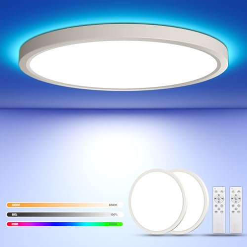 DetarZinLED 2 Stück Ø30cm Deckenlampe LED Deckenleuchte Dimmbar mit Fernbedienung 24W RGB Farbwechsel Rund Deckenbeleuchtung für Wohnzimmer Schlafzimmer Deckenlampe 3000K-6500K 2700LM IP44 Wasserdicht