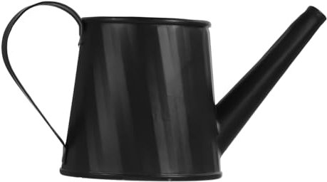 iplusmile Mini Arrosoir pour Plantes Carafe Eau De Jardin avec Poignée Confortable Seau à Eau pour Petites Plantes Et Végétaux Grasses
